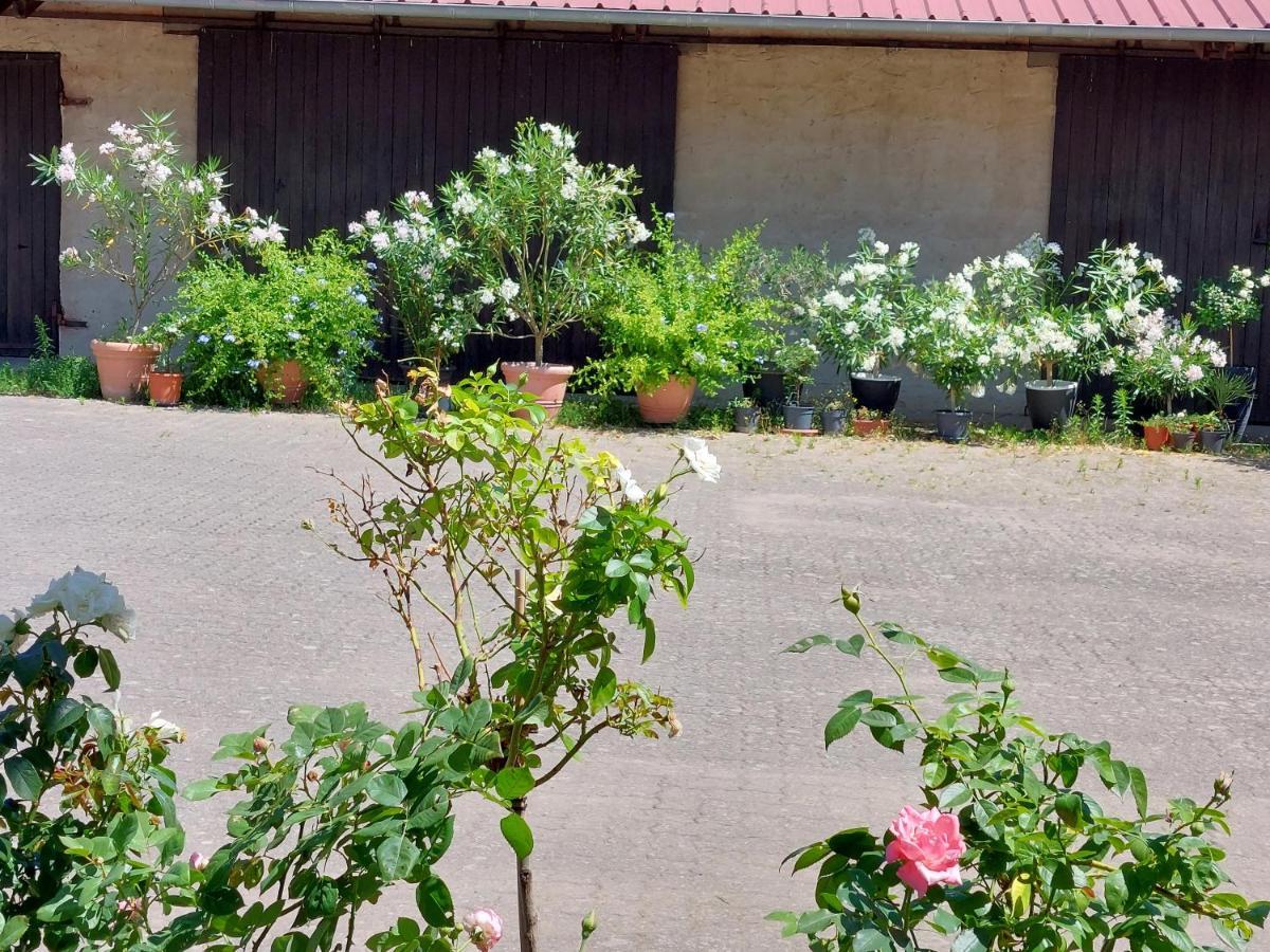 Landpartie Lägenhet Freckenfeld Exteriör bild